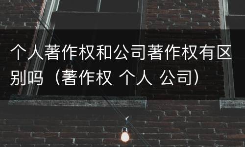 个人著作权和公司著作权有区别吗（著作权 个人 公司）