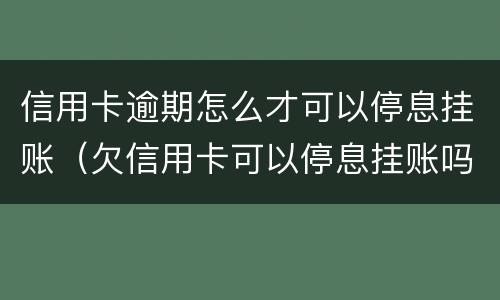 信用卡逾期怎么才可以停息挂账（欠信用卡可以停息挂账吗）
