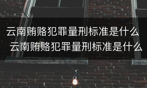 云南贿赂犯罪量刑标准是什么 云南贿赂犯罪量刑标准是什么级别