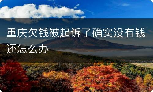 重庆欠钱被起诉了确实没有钱还怎么办