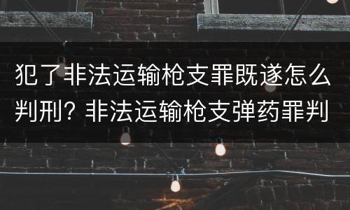 犯了非法运输枪支罪既遂怎么判刑? 非法运输枪支弹药罪判几年
