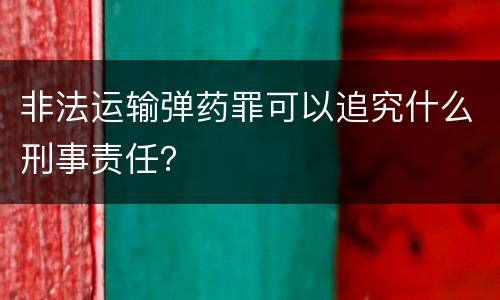 非法运输弹药罪可以追究什么刑事责任？