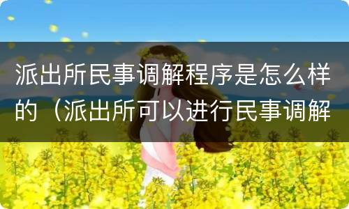 派出所民事调解程序是怎么样的（派出所可以进行民事调解吗）