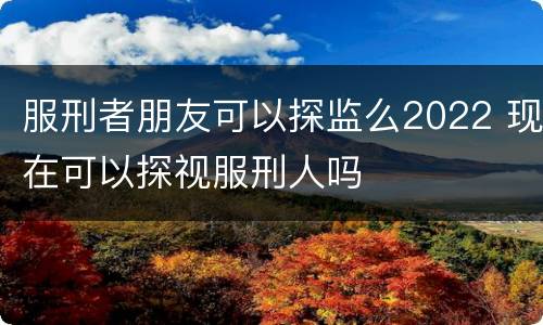 服刑者朋友可以探监么2022 现在可以探视服刑人吗