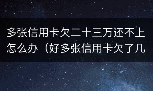 多张信用卡欠二十三万还不上怎么办（好多张信用卡欠了几十万,还不上）