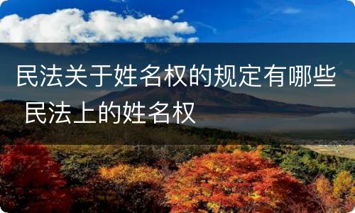 民法关于姓名权的规定有哪些 民法上的姓名权