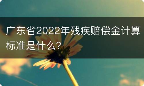 广东省2022年残疾赔偿金计算标准是什么？