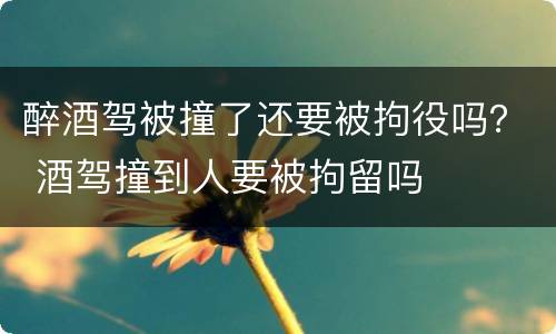 醉酒驾被撞了还要被拘役吗？ 酒驾撞到人要被拘留吗