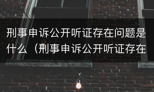 刑事申诉公开听证存在问题是什么（刑事申诉公开听证存在问题是什么意思）