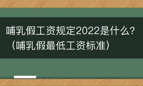 哺乳假工资规定2022是什么？（哺乳假最低工资标准）
