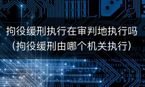 拘役缓刑执行在审判地执行吗（拘役缓刑由哪个机关执行）