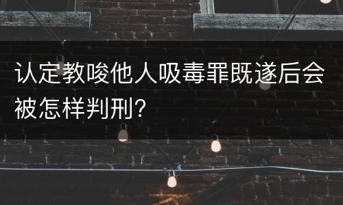 认定教唆他人吸毒罪既遂后会被怎样判刑?