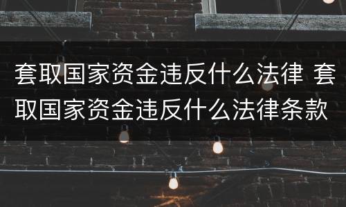 套取国家资金违反什么法律 套取国家资金违反什么法律条款