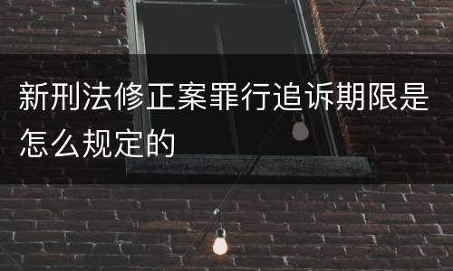 新刑法修正案罪行追诉期限是怎么规定的