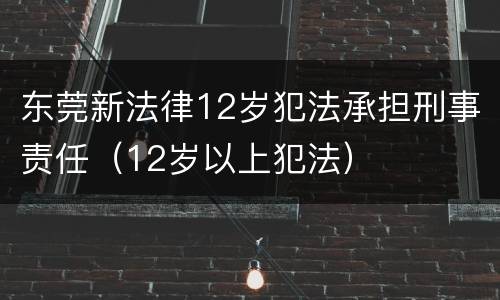 东莞新法律12岁犯法承担刑事责任（12岁以上犯法）