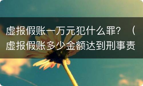 虚报假账一万元犯什么罪？（虚报假账多少金额达到刑事责任）