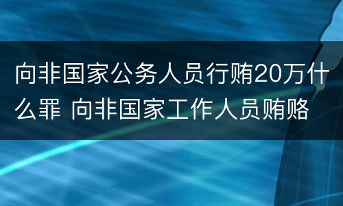 向非国家公务人员行贿20万什么罪 向非国家工作人员贿赂