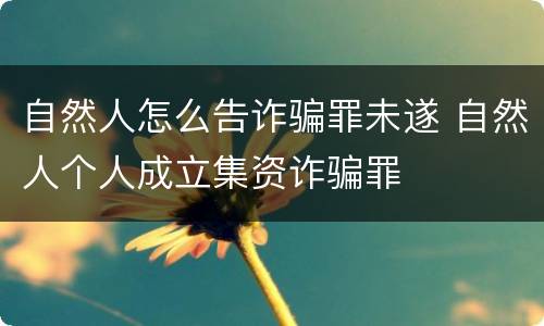 自然人怎么告诈骗罪未遂 自然人个人成立集资诈骗罪