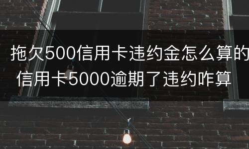 拖欠500信用卡违约金怎么算的 信用卡5000逾期了违约咋算