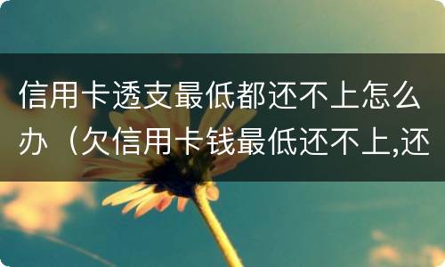 信用卡透支最低都还不上怎么办（欠信用卡钱最低还不上,还一点可以吗）