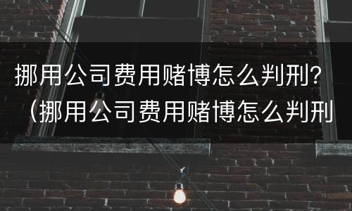 挪用公司费用赌博怎么判刑？（挪用公司费用赌博怎么判刑的）