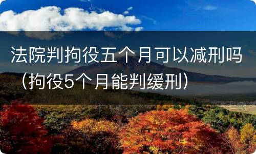 法院判拘役五个月可以减刑吗（拘役5个月能判缓刑）
