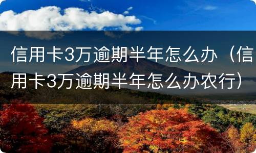 信用卡3万逾期半年怎么办（信用卡3万逾期半年怎么办农行）