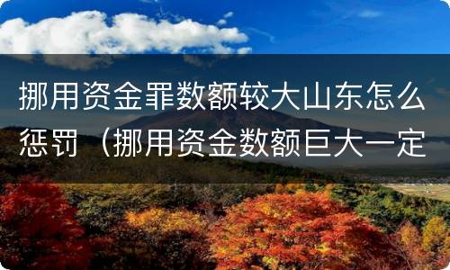 挪用资金罪数额较大山东怎么惩罚（挪用资金数额巨大一定构成犯罪）