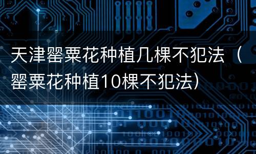 天津罂粟花种植几棵不犯法（罂粟花种植10棵不犯法）