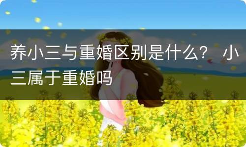 养小三与重婚区别是什么？ 小三属于重婚吗