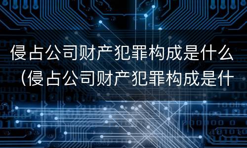 侵占公司财产犯罪构成是什么（侵占公司财产犯罪构成是什么罪）