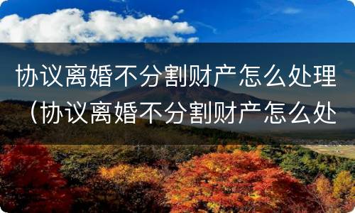 协议离婚不分割财产怎么处理（协议离婚不分割财产怎么处理好）