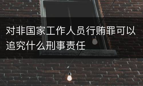 对非国家工作人员行贿罪可以追究什么刑事责任