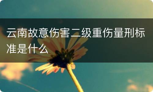 云南故意伤害二级重伤量刑标准是什么
