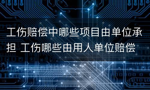 工伤赔偿中哪些项目由单位承担 工伤哪些由用人单位赔偿