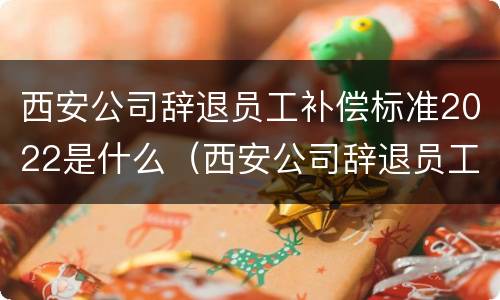 西安公司辞退员工补偿标准2022是什么（西安公司辞退员工补偿标准2022是什么时候发）