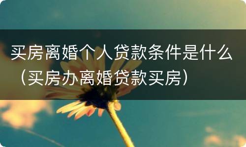 买房离婚个人贷款条件是什么（买房办离婚贷款买房）