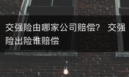 交强险由哪家公司赔偿？ 交强险出险谁赔偿