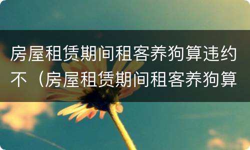 房屋租赁期间租客养狗算违约不（房屋租赁期间租客养狗算违约不违法吗）