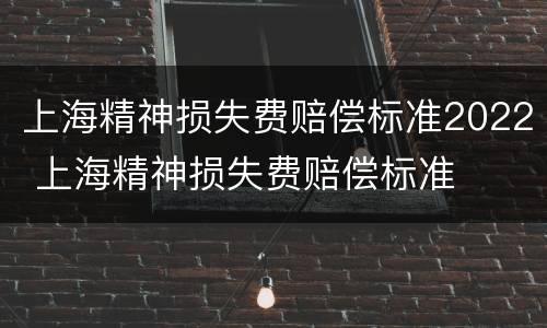 上海精神损失费赔偿标准2022 上海精神损失费赔偿标准