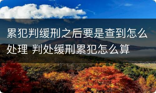 累犯判缓刑之后要是查到怎么处理 判处缓刑累犯怎么算
