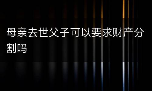 母亲去世父子可以要求财产分割吗