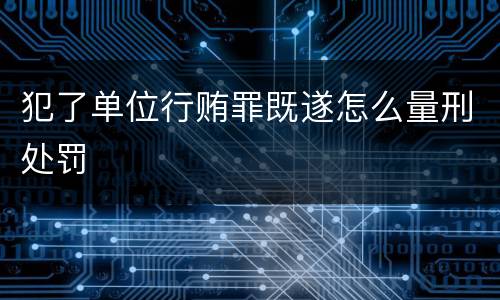 犯了单位行贿罪既遂怎么量刑处罚