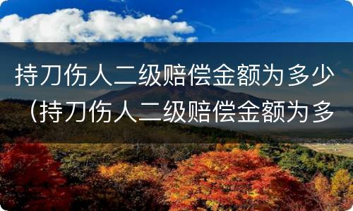 持刀伤人二级赔偿金额为多少（持刀伤人二级赔偿金额为多少钱）