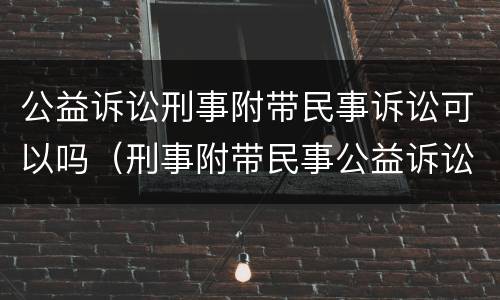 公益诉讼刑事附带民事诉讼可以吗（刑事附带民事公益诉讼 刑事打击 公益诉讼）