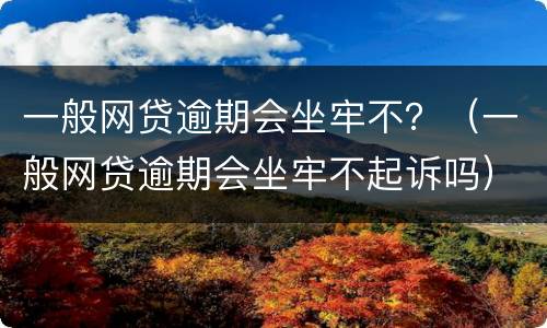 一般网贷逾期会坐牢不？（一般网贷逾期会坐牢不起诉吗）