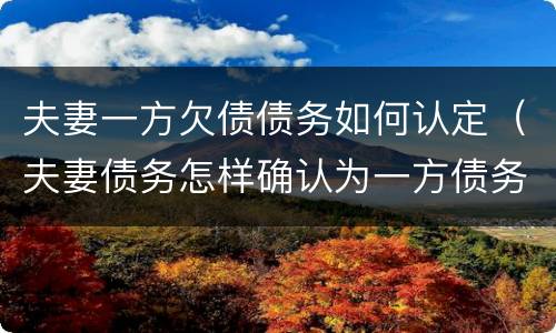 夫妻一方欠债债务如何认定（夫妻债务怎样确认为一方债务）