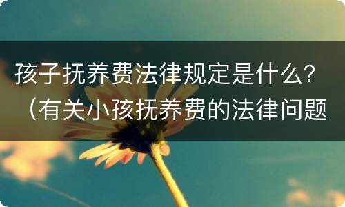 孩子抚养费法律规定是什么？（有关小孩抚养费的法律问题）