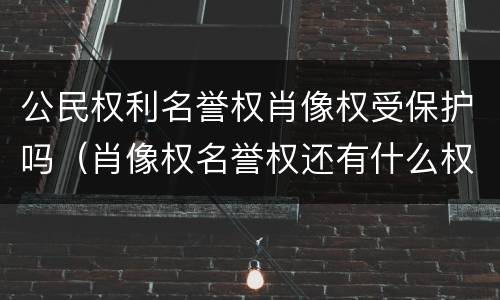 公民权利名誉权肖像权受保护吗（肖像权名誉权还有什么权）