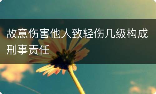 故意伤害他人致轻伤几级构成刑事责任